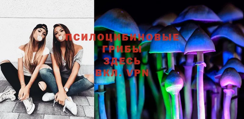 Псилоцибиновые грибы Psilocybe  blacksprut   Апрелевка  купить наркотик 